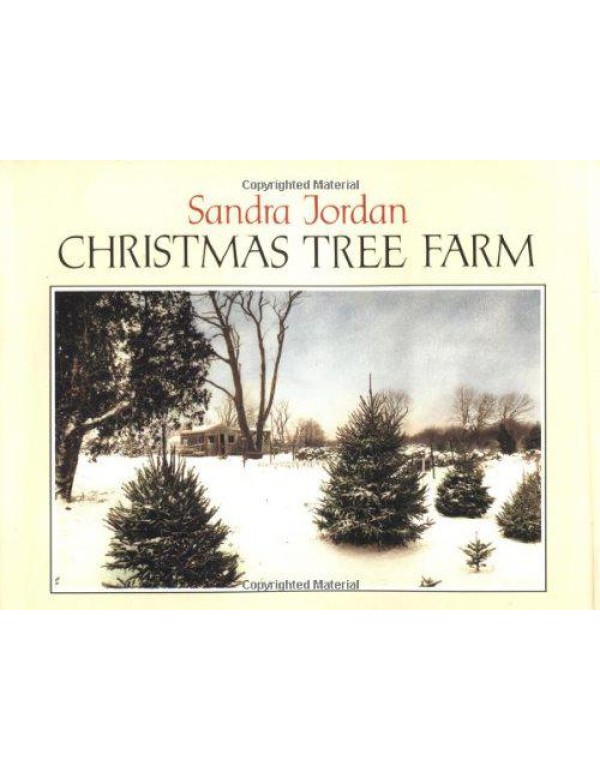 Christmas Tree Farm