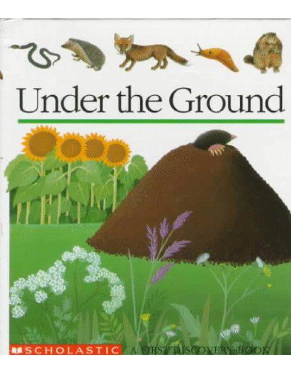 Under the Ground (First Discovery Books)