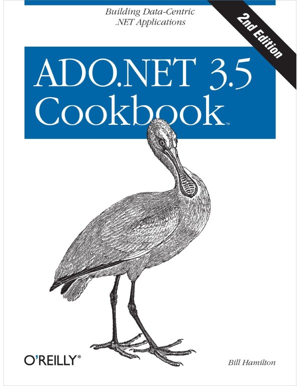 ADO.NET 3.5 Cookbook: Building Data-Centric .NET A...