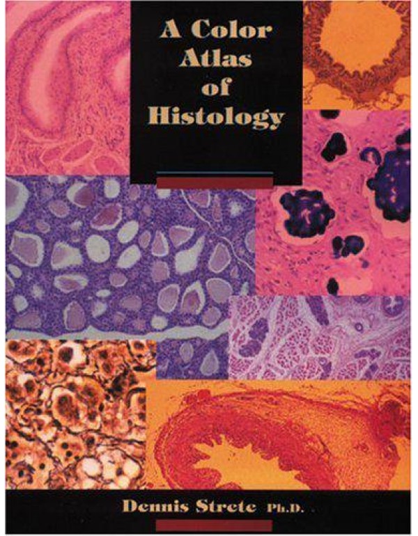 A Color Atlas of Histology