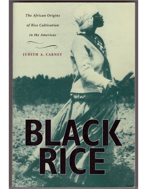 Black Rice: The African Origins of Rice Cultivatio...