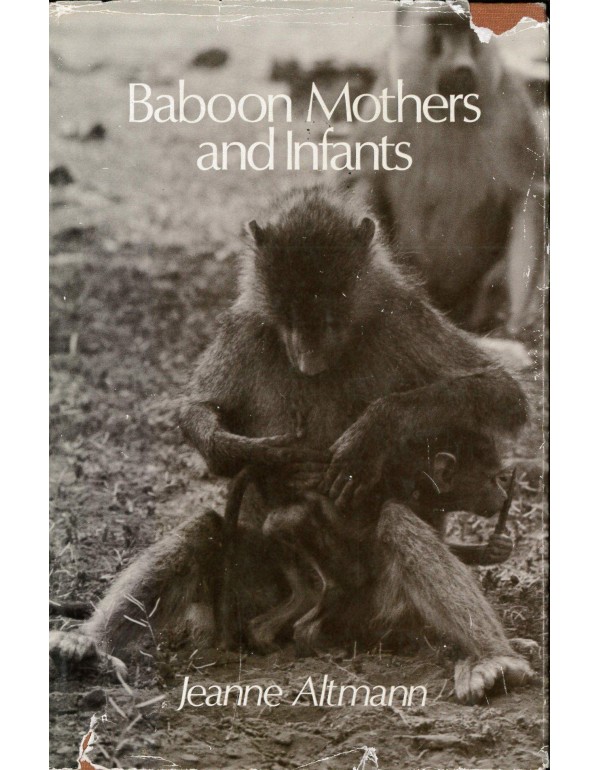 Baboon Mothers and Infants