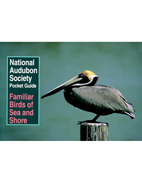 National Audubon Society Pocket Guide to Familiar ...