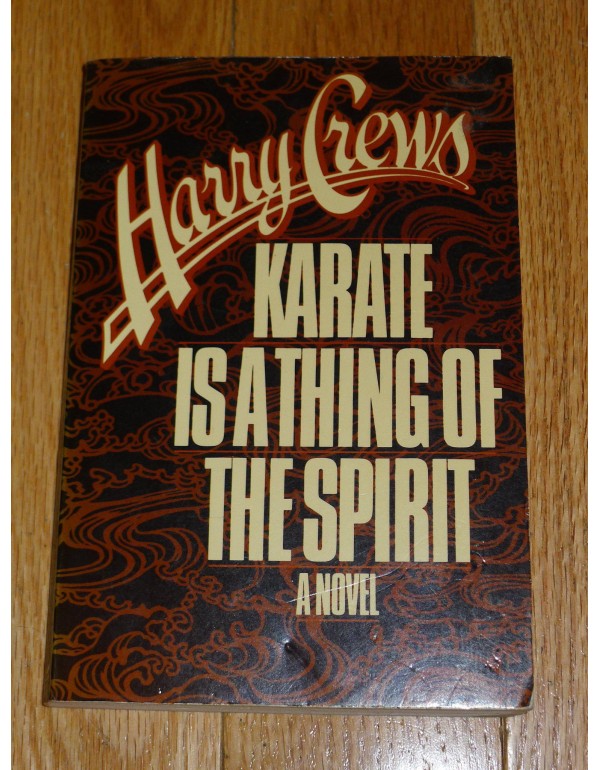 Karate Is a Thing of the Spirit: A Novel