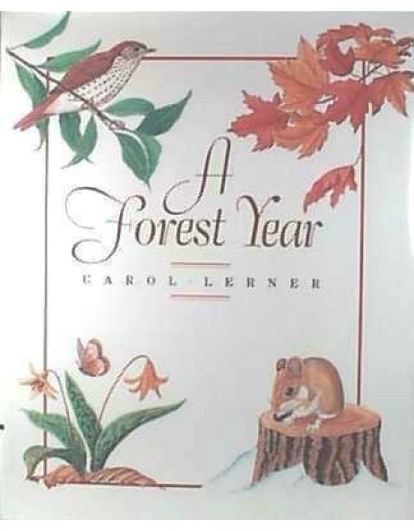 A Forest Year