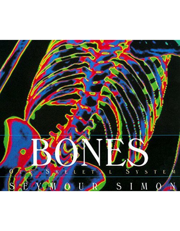 Bones: Our Skeletal System (Human Body)