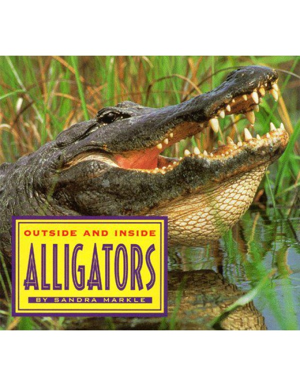 Outside And Inside Alligators