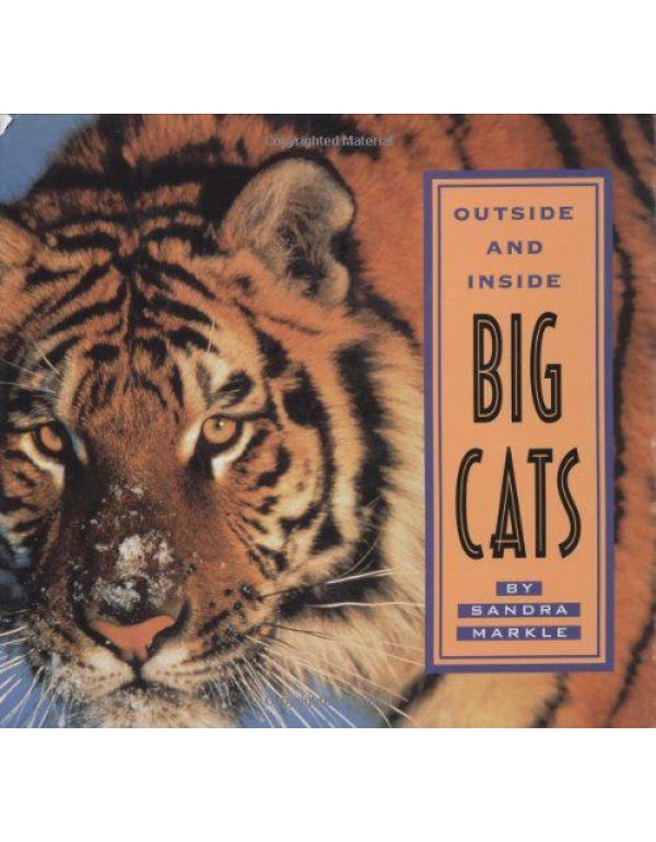 Outside and Inside Big Cats