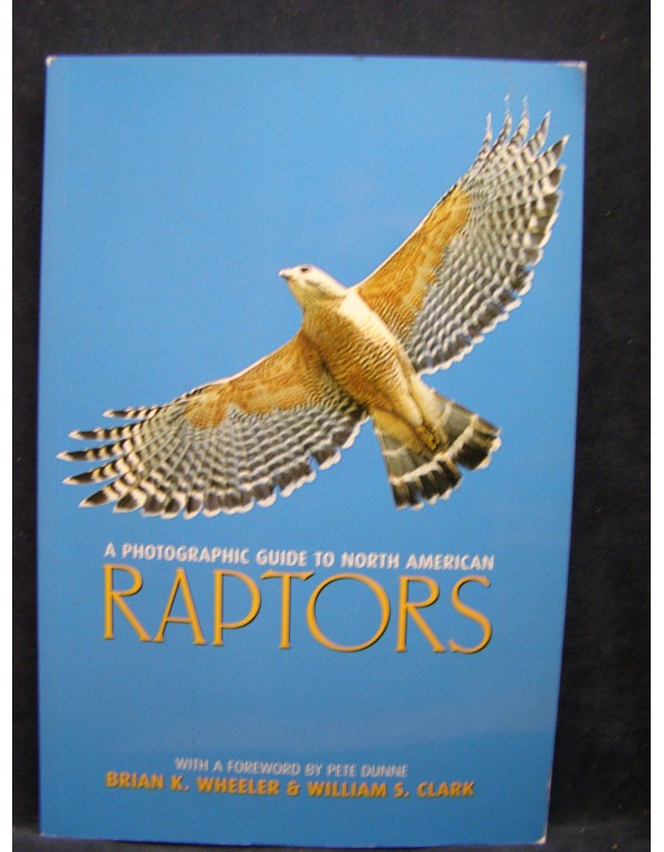 A Photographic Guide to North American Raptors