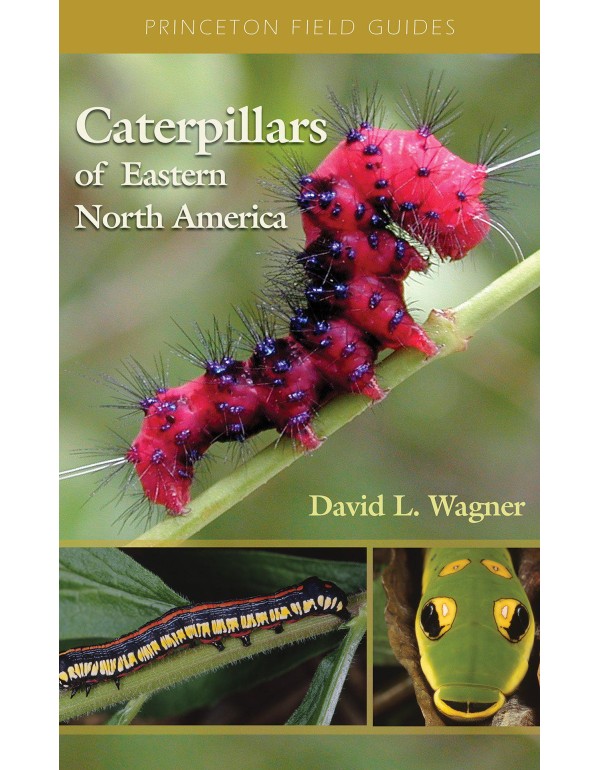 Caterpillars of Eastern North America: A Guide to ...