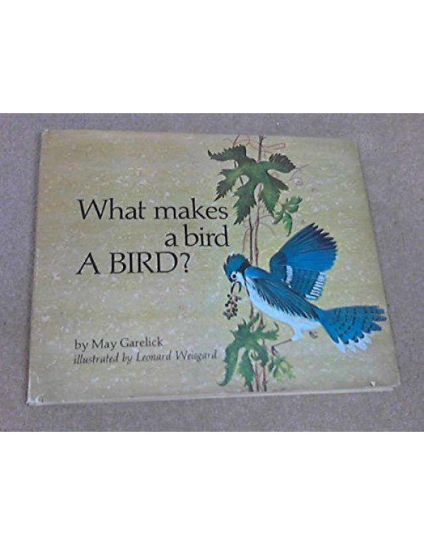 What Makes a Bird a Bird?