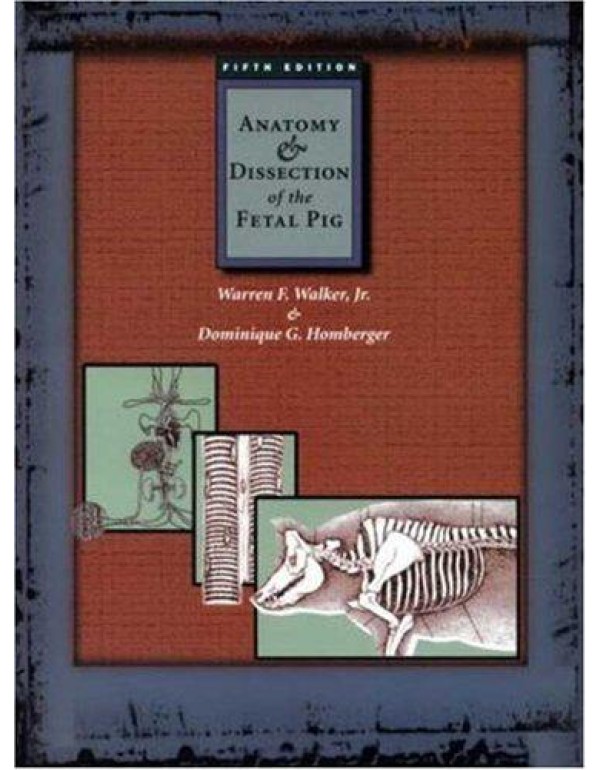 Anatomy and Dissection of the Fetal Pig (Freeman L...