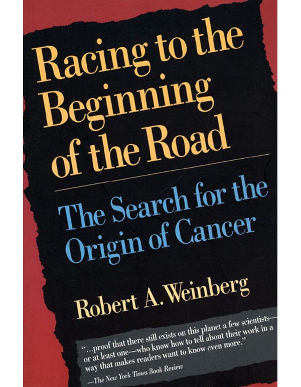 Racing to the Beginning of the Road: The Search fo...