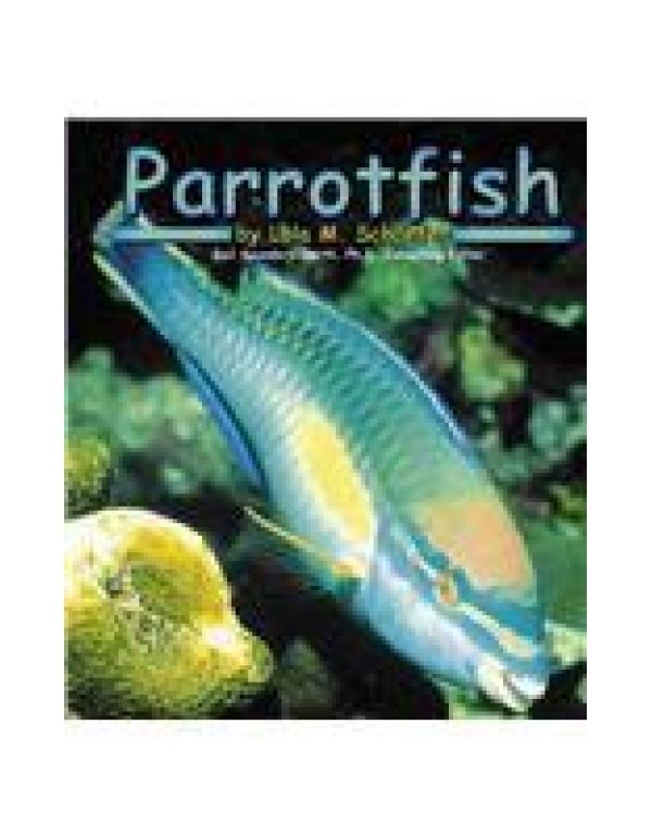 Parrotfish (Ocean Life)