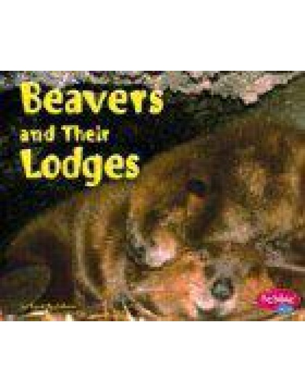 Beavers and Their Lodges (Animal Homes)