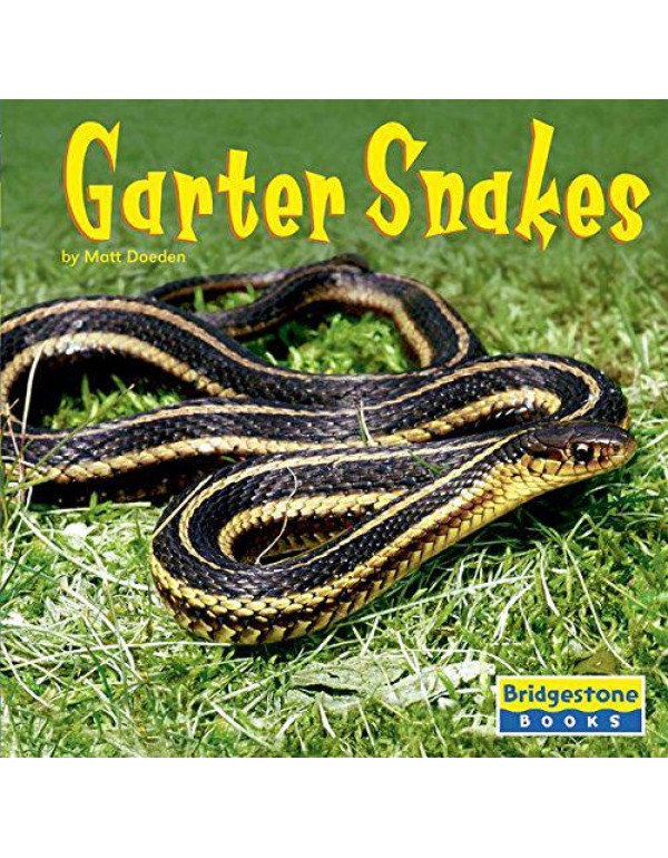 Garter Snakes (World of Reptiles)