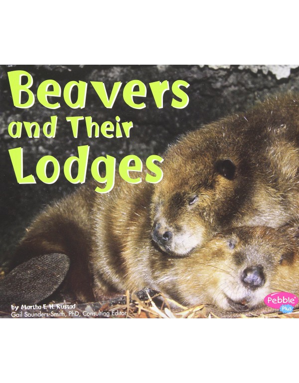 Beavers and Their Lodges (Animal Homes)