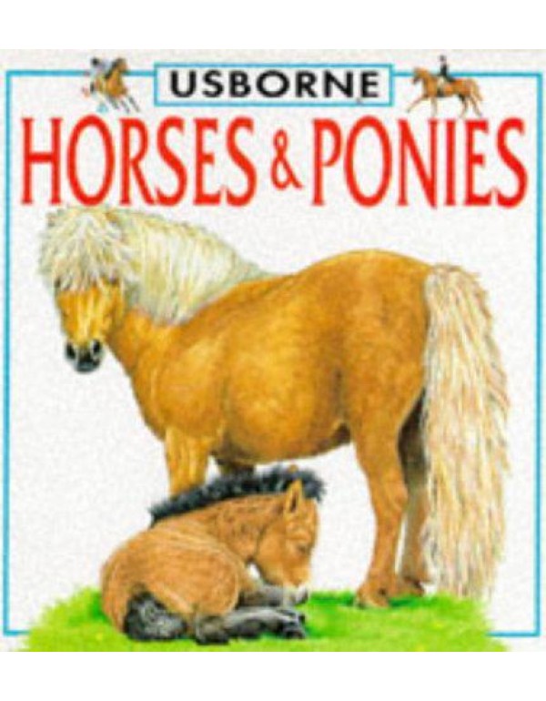 Horses & Ponies (Board Book)