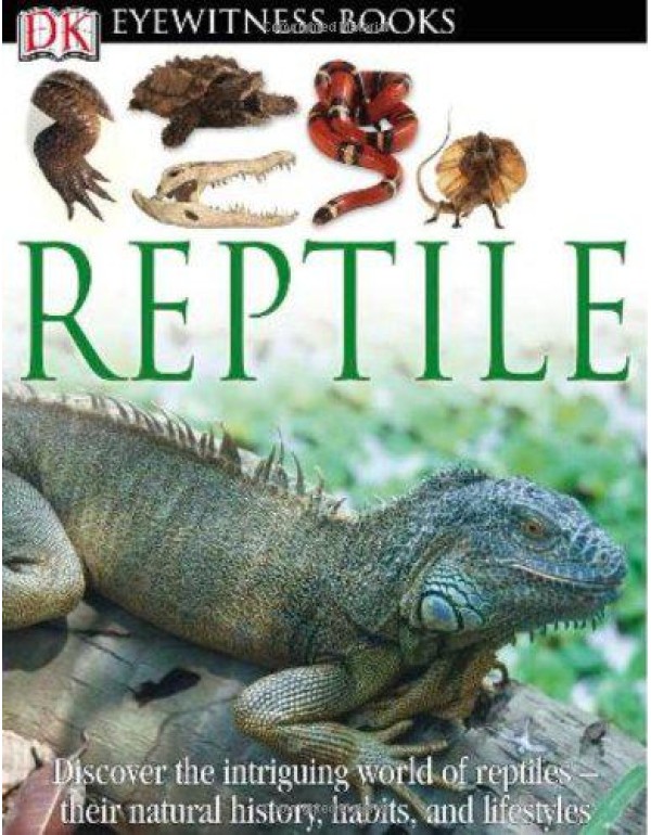 DK Eyewitness Books: Reptile