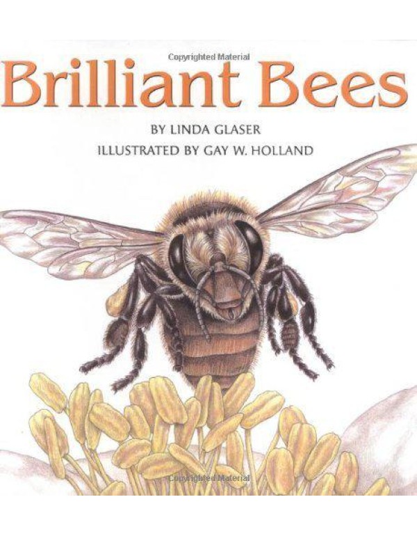 Brilliant Bees