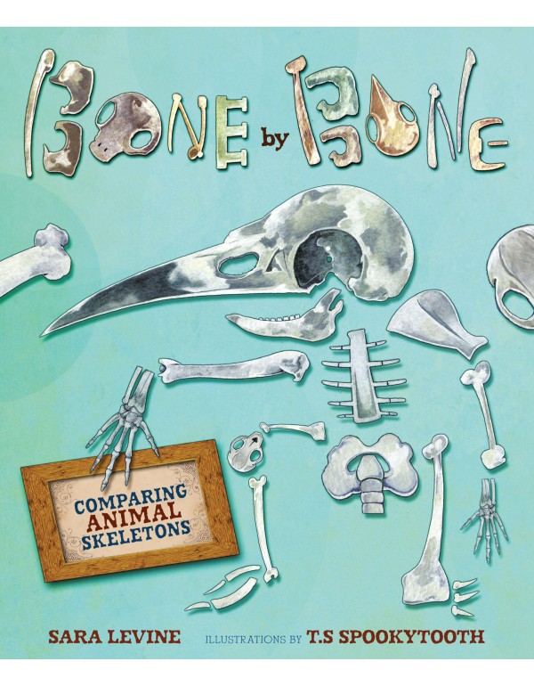 Bone by Bone: Comparing Animal Skeletons (Animal b...