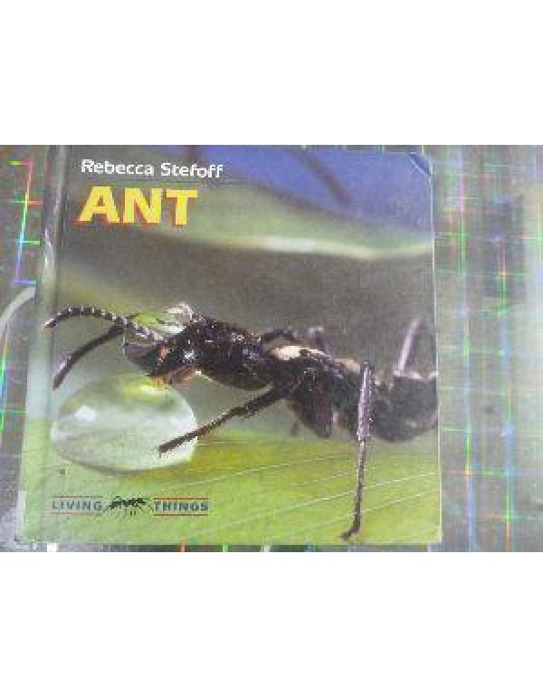 Ant (Living Things)