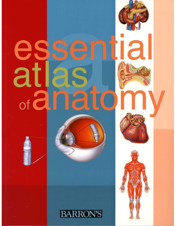 Essential Atlas of Anatomy