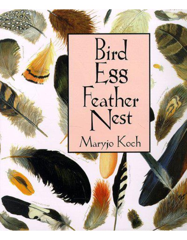 Bird Egg Feather Nest (Maryjo Koch Series)