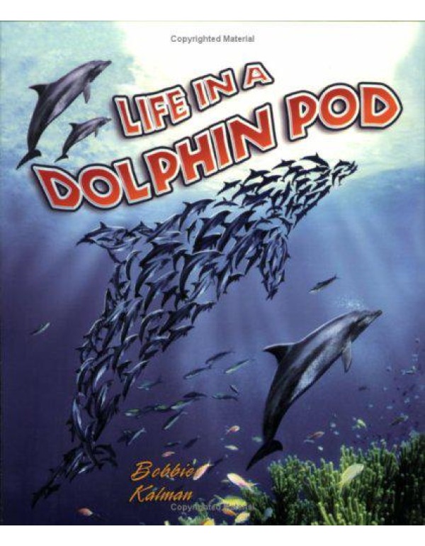 Life in a Dolphin Pod (Dolphin Worlds)