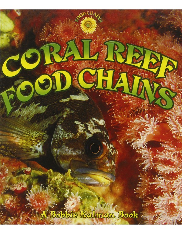 Coral Reef Food Chains