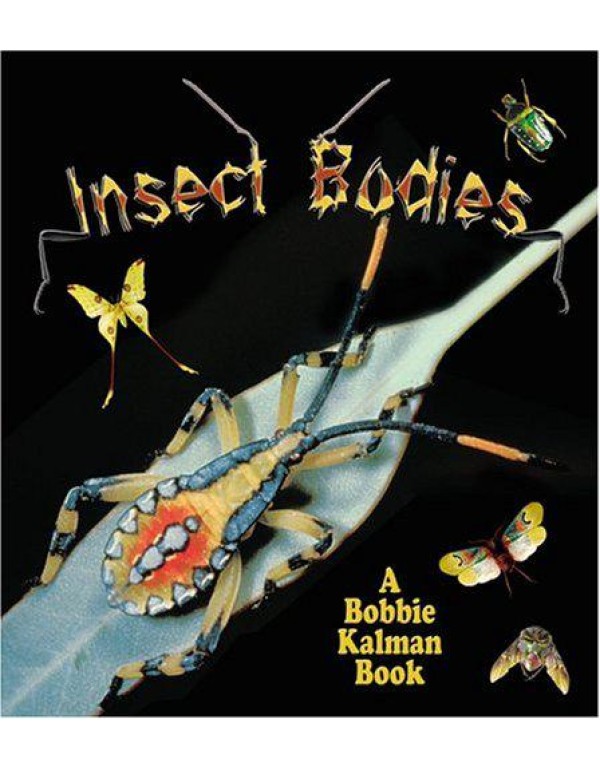 Insect Bodies (World of Insects)