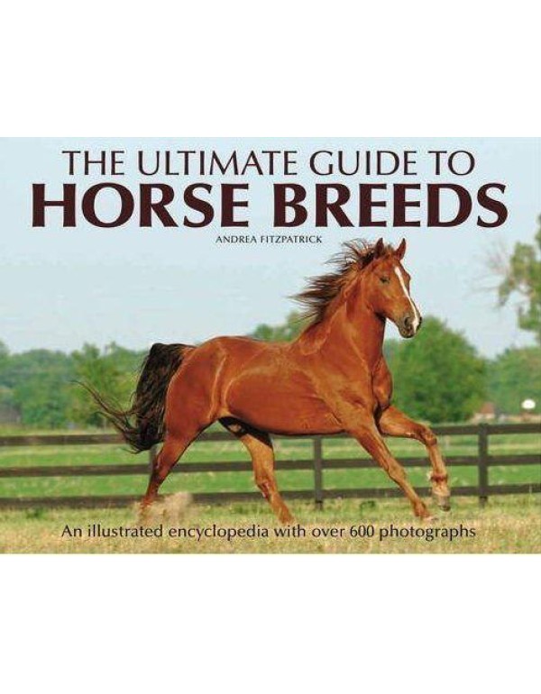 The Ultimate Guide to Horse Breeds