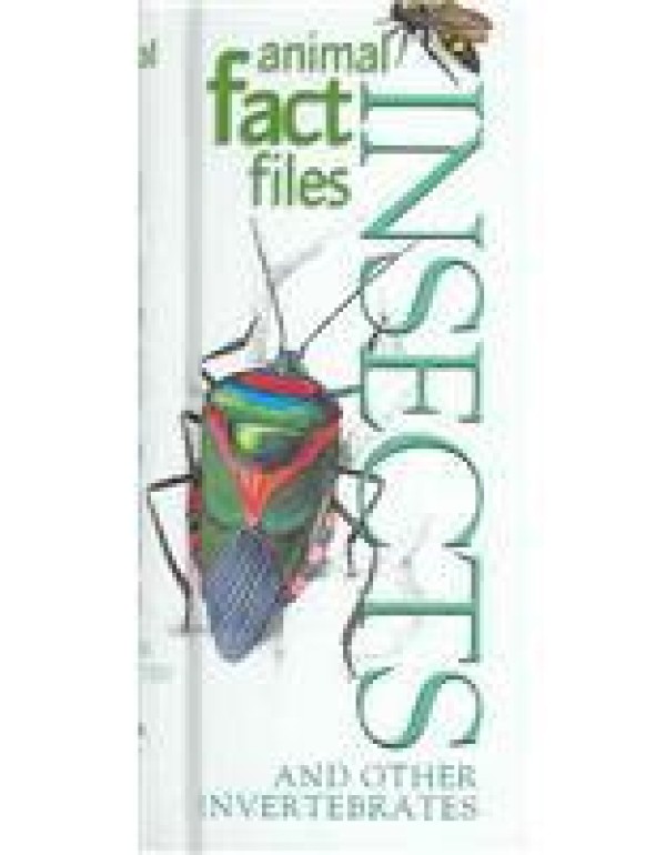 Animal Fact Files Insects