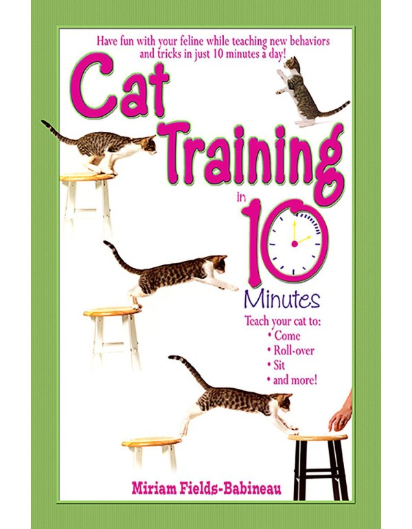 Cat Training in 10 Minutes