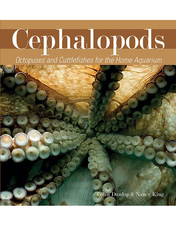 Cephalopods