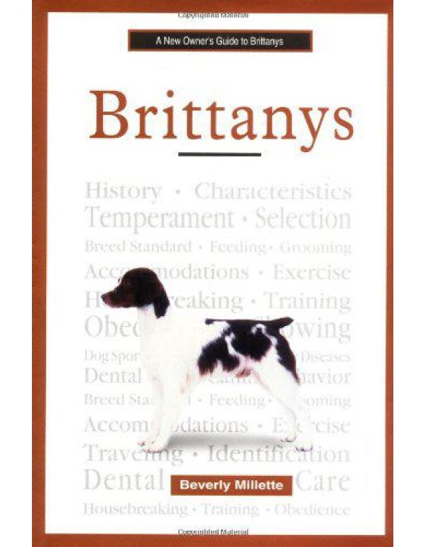 A New Owner's Guide to Brittanys