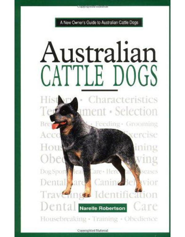 A New Owner's Guide to Australian Cattle Dogs