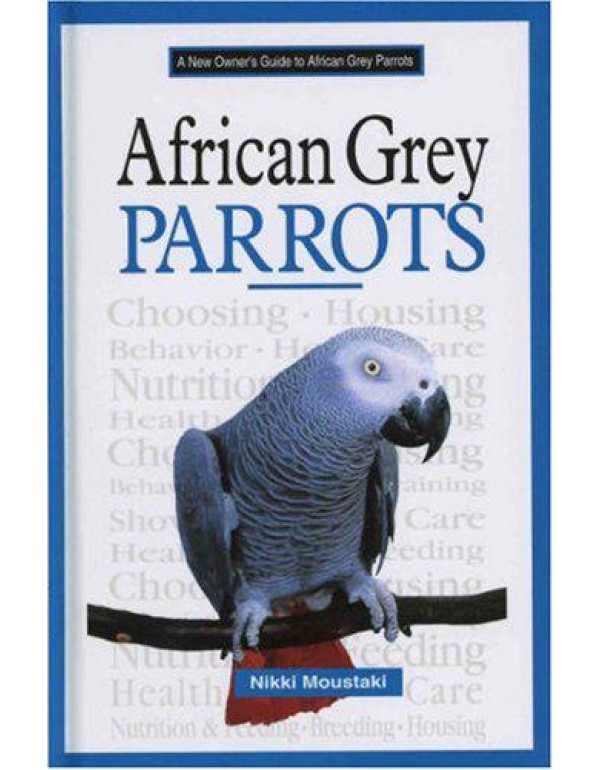 A New Owner's Guide to African Grey Parrots