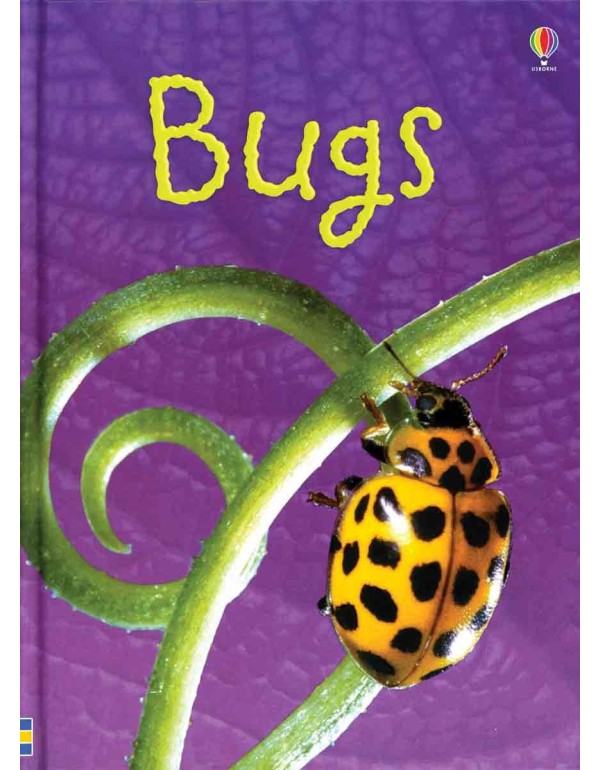 Bugs (Usborne Beginners)