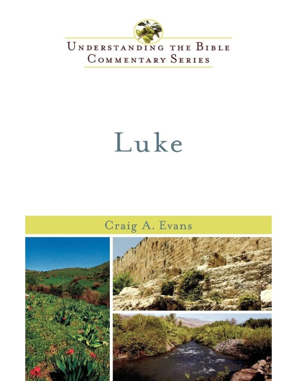 Luke (Understanding the Bible Commentary Series)