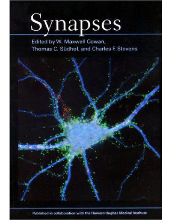 Synapses