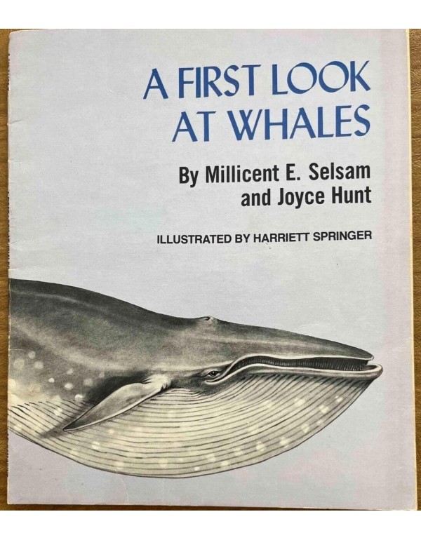 A First Look at Whales (First Look At...(Walker & ...