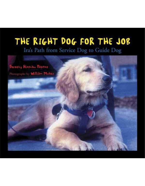 The Right Dog for the Job: Ira's Path from Service...