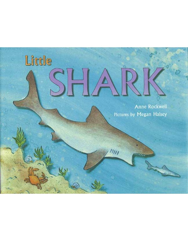 Little Shark