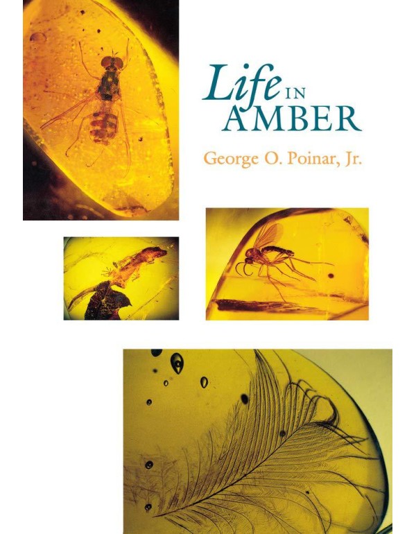 Life in Amber