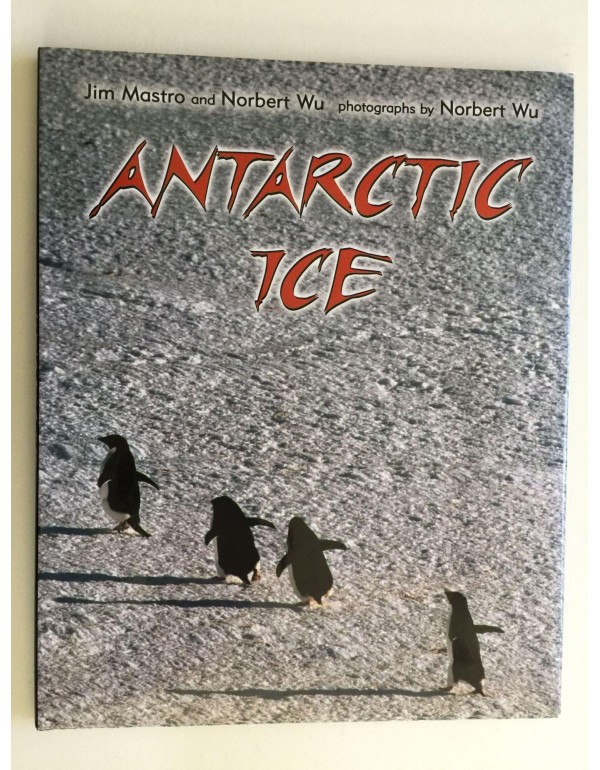 Antarctic Ice