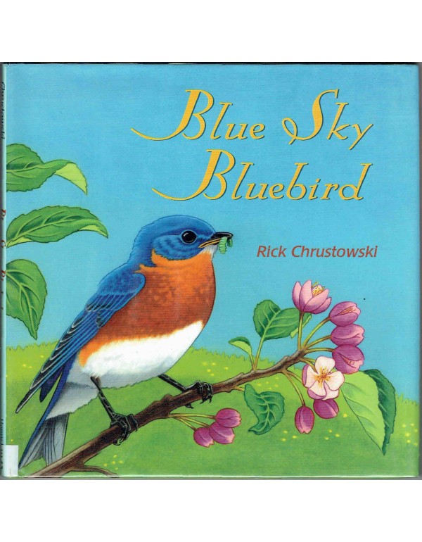 Blue Sky Bluebird