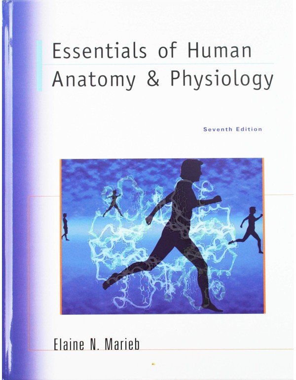 Essentials of Human Anatomy & Physiology