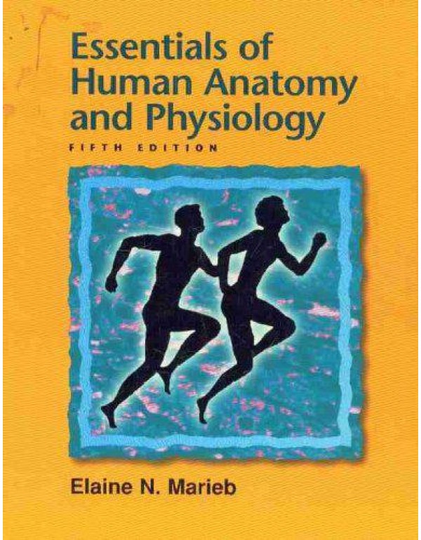 Essentials of Human Anatomy and Physiology