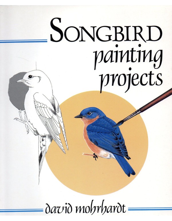 Songbird Painting Projects